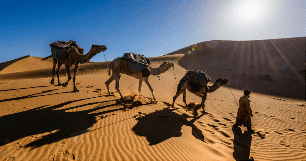 Spend Two Nights in the Desert Near Marrakech